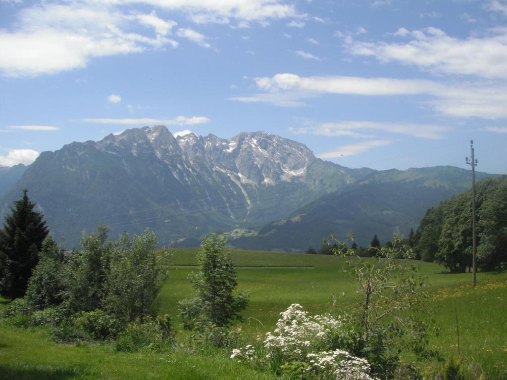 Goellblick Apartment Sankt Koloman Luaran gambar